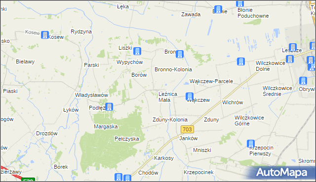 mapa Leźnica Mała, Leźnica Mała na mapie Targeo