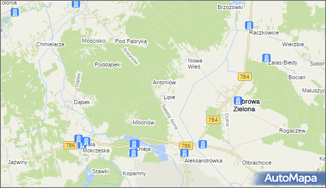 mapa Lipie gmina Dąbrowa Zielona, Lipie gmina Dąbrowa Zielona na mapie Targeo