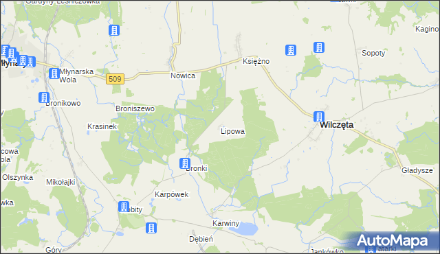 mapa Lipowa gmina Wilczęta, Lipowa gmina Wilczęta na mapie Targeo