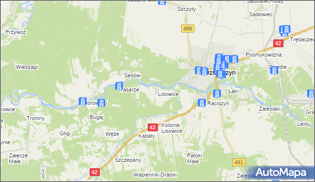 mapa Lisowice gmina Działoszyn, Lisowice gmina Działoszyn na mapie Targeo