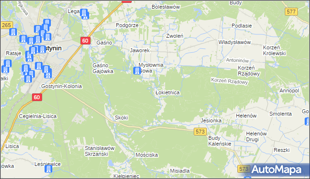 mapa Łokietnica, Łokietnica na mapie Targeo