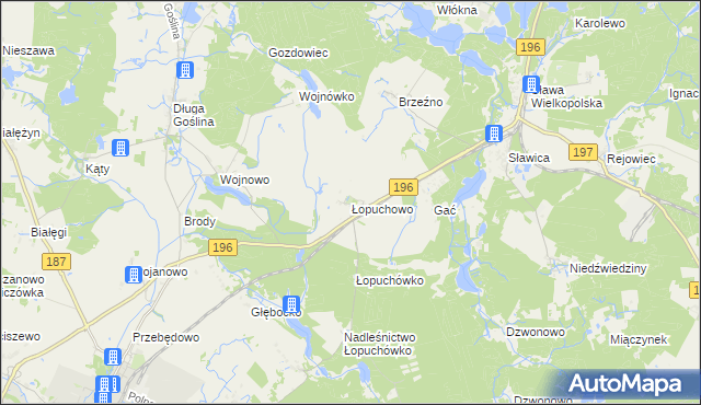 mapa Łopuchowo gmina Murowana Goślina, Łopuchowo gmina Murowana Goślina na mapie Targeo