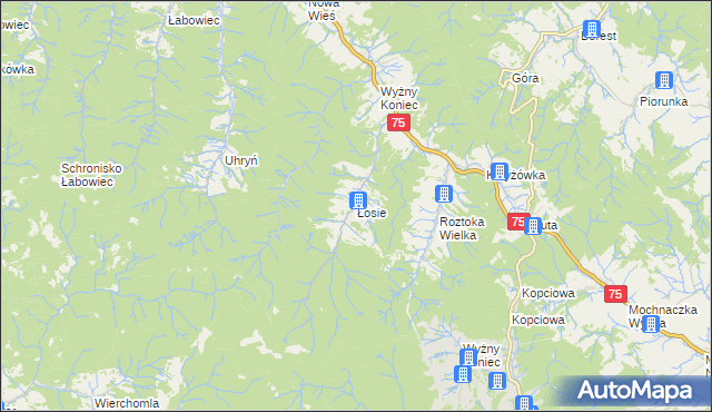 mapa Łosie gmina Łabowa, Łosie gmina Łabowa na mapie Targeo