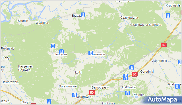 mapa Łosiewice, Łosiewice na mapie Targeo