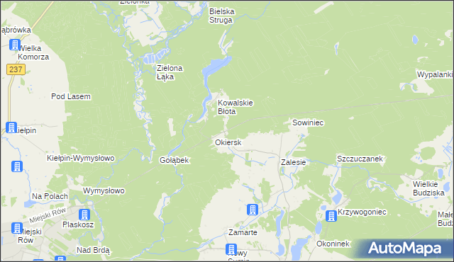 mapa Łosiny gmina Cekcyn, Łosiny gmina Cekcyn na mapie Targeo