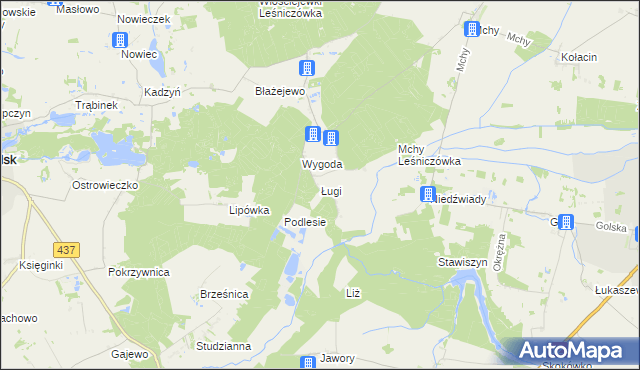 mapa Ługi gmina Książ Wielkopolski, Ługi gmina Książ Wielkopolski na mapie Targeo