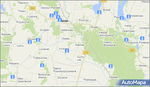 mapa Maliniec gmina Babiak, Maliniec gmina Babiak na mapie Targeo