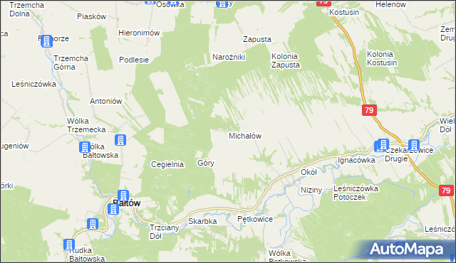 mapa Michałów gmina Bałtów, Michałów gmina Bałtów na mapie Targeo