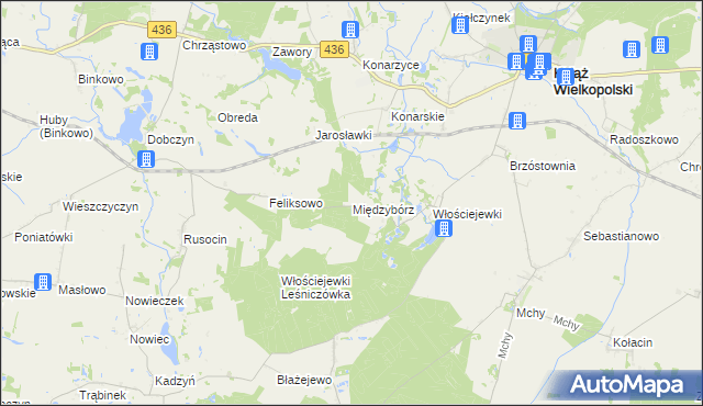 mapa Międzybórz gmina Książ Wielkopolski, Międzybórz gmina Książ Wielkopolski na mapie Targeo
