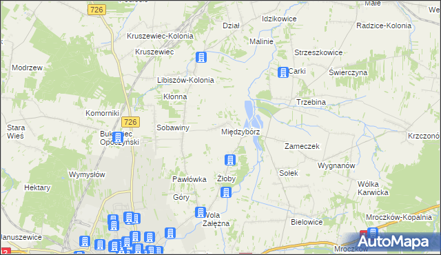 mapa Międzybórz gmina Opoczno, Międzybórz gmina Opoczno na mapie Targeo