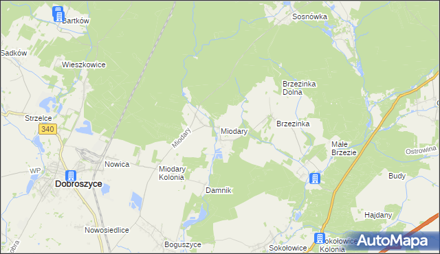 mapa Miodary gmina Dobroszyce, Miodary gmina Dobroszyce na mapie Targeo