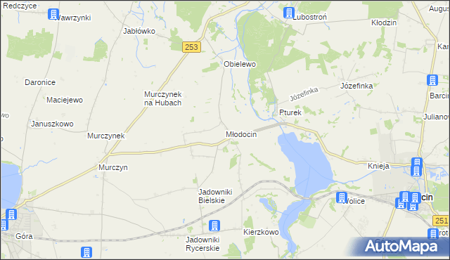 mapa Młodocin, Młodocin na mapie Targeo