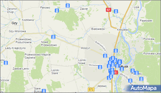 mapa Moszyn, Moszyn na mapie Targeo