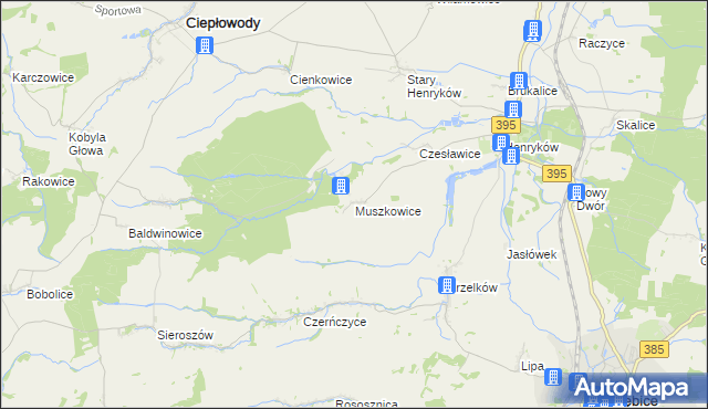 mapa Muszkowice, Muszkowice na mapie Targeo