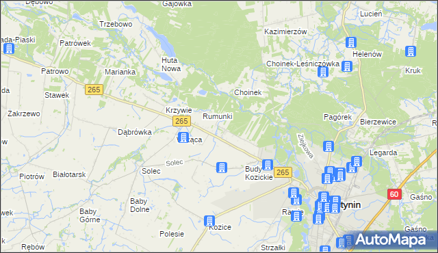 mapa Nagodów gmina Gostynin, Nagodów gmina Gostynin na mapie Targeo