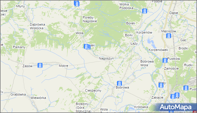 mapa Nagoszyn, Nagoszyn na mapie Targeo