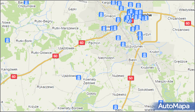 mapa Niechodzin, Niechodzin na mapie Targeo