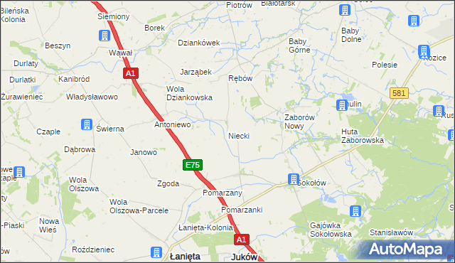 mapa Niecki gmina Gostynin, Niecki gmina Gostynin na mapie Targeo