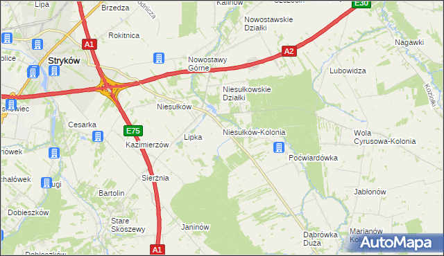 mapa Niesułków-Kolonia, Niesułków-Kolonia na mapie Targeo