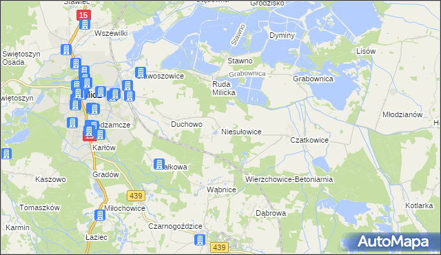 mapa Niesułowice gmina Milicz, Niesułowice gmina Milicz na mapie Targeo