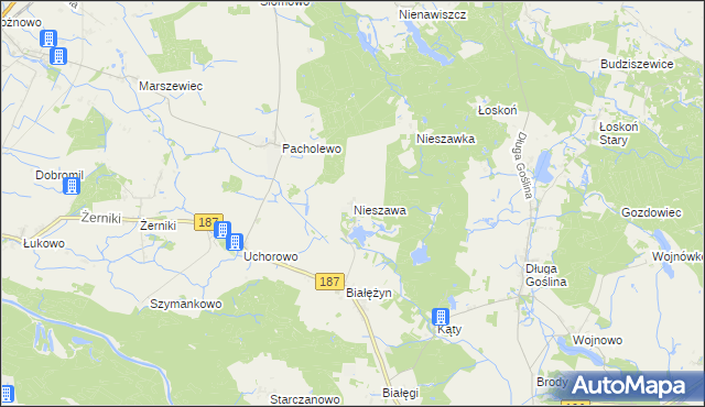 mapa Nieszawa gmina Murowana Goślina, Nieszawa gmina Murowana Goślina na mapie Targeo