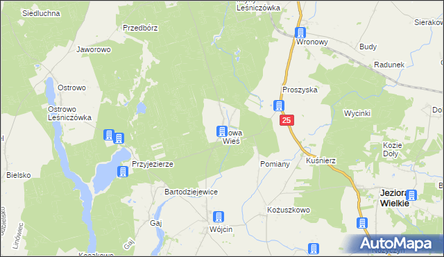 mapa Nowa Wieś gmina Jeziora Wielkie, Nowa Wieś gmina Jeziora Wielkie na mapie Targeo