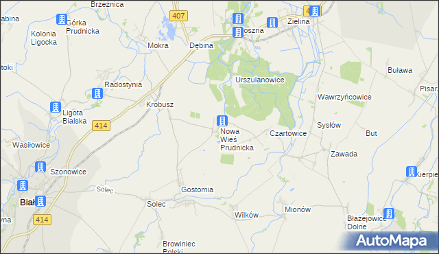 mapa Nowa Wieś Prudnicka, Nowa Wieś Prudnicka na mapie Targeo