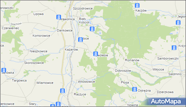 mapa Nowolesie, Nowolesie na mapie Targeo