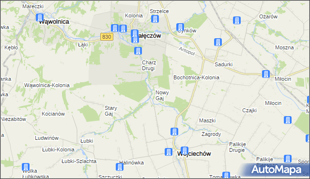 mapa Nowy Gaj gmina Wojciechów, Nowy Gaj gmina Wojciechów na mapie Targeo