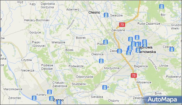 mapa Oleśnica gmina Olesno, Oleśnica gmina Olesno na mapie Targeo