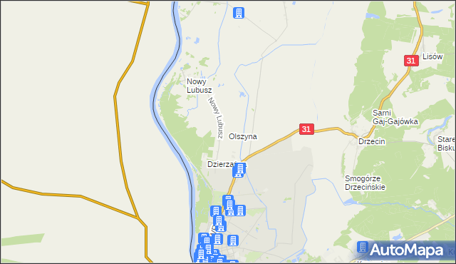 mapa Olszyna gmina Słubice, Olszyna gmina Słubice na mapie Targeo