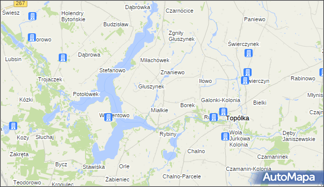 mapa Opielanka, Opielanka na mapie Targeo