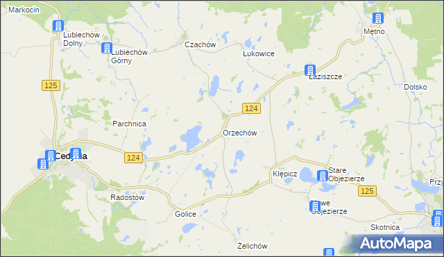 mapa Orzechów gmina Cedynia, Orzechów gmina Cedynia na mapie Targeo