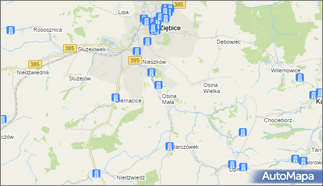 mapa Osina Mała gmina Ziębice, Osina Mała gmina Ziębice na mapie Targeo