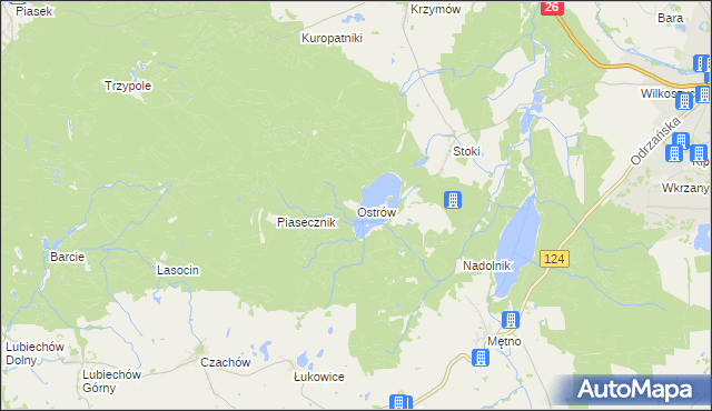mapa Ostrów gmina Chojna, Ostrów gmina Chojna na mapie Targeo