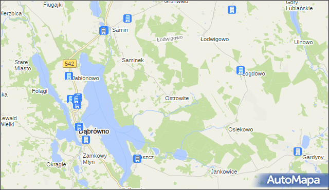 mapa Ostrowite gmina Dąbrówno, Ostrowite gmina Dąbrówno na mapie Targeo