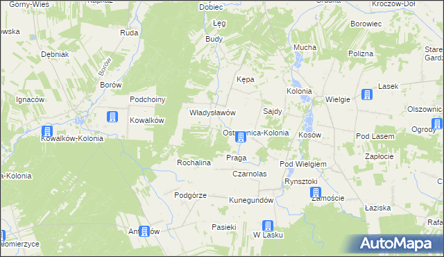 mapa Ostrownica-Kolonia, Ostrownica-Kolonia na mapie Targeo