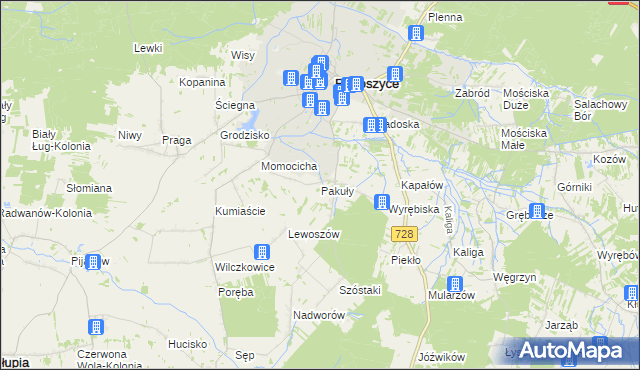 mapa Pakuły gmina Radoszyce, Pakuły gmina Radoszyce na mapie Targeo