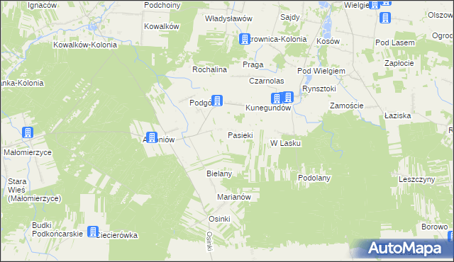 mapa Pasieki gmina Ciepielów, Pasieki gmina Ciepielów na mapie Targeo