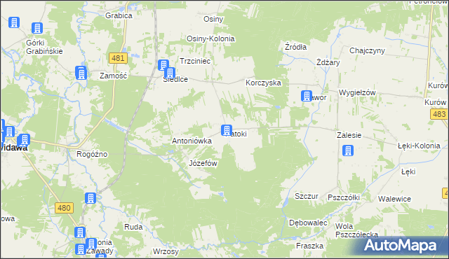 mapa Patoki gmina Widawa, Patoki gmina Widawa na mapie Targeo