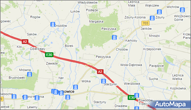 mapa Pełczyska gmina Wartkowice, Pełczyska gmina Wartkowice na mapie Targeo