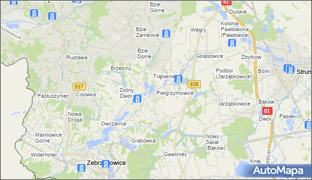 mapa Pielgrzymowice gmina Pawłowice, Pielgrzymowice gmina Pawłowice na mapie Targeo