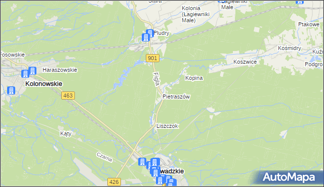 mapa Pietraszów, Pietraszów na mapie Targeo