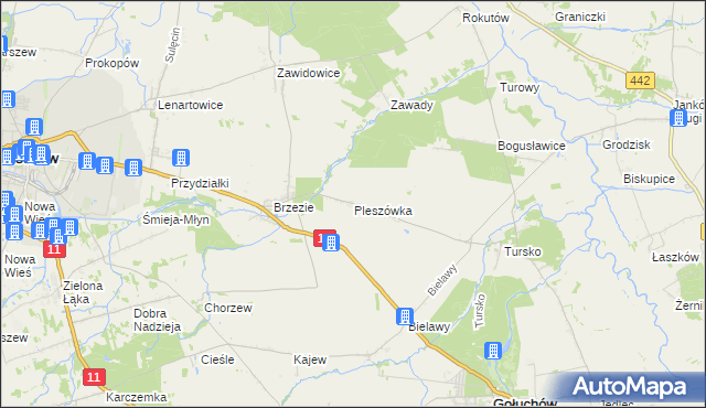 mapa Pleszówka, Pleszówka na mapie Targeo