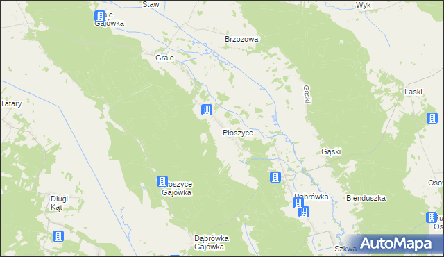 mapa Płoszyce, Płoszyce na mapie Targeo