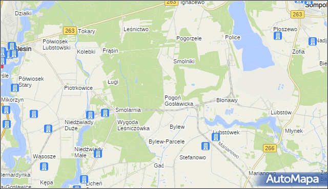 mapa Pogoń Gosławicka, Pogoń Gosławicka na mapie Targeo