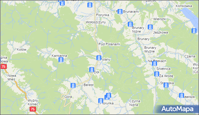 mapa Polany gmina Krynica-Zdrój, Polany gmina Krynica-Zdrój na mapie Targeo