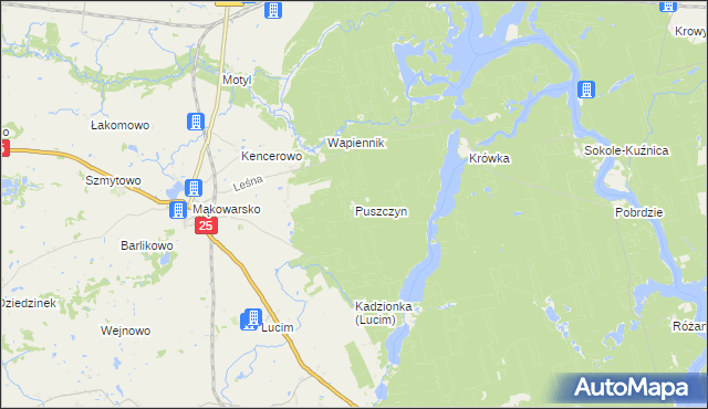 mapa Puszczyn gmina Koronowo, Puszczyn gmina Koronowo na mapie Targeo