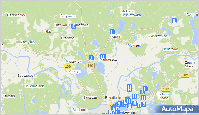 mapa Radgoszcz gmina Międzychód, Radgoszcz gmina Międzychód na mapie Targeo