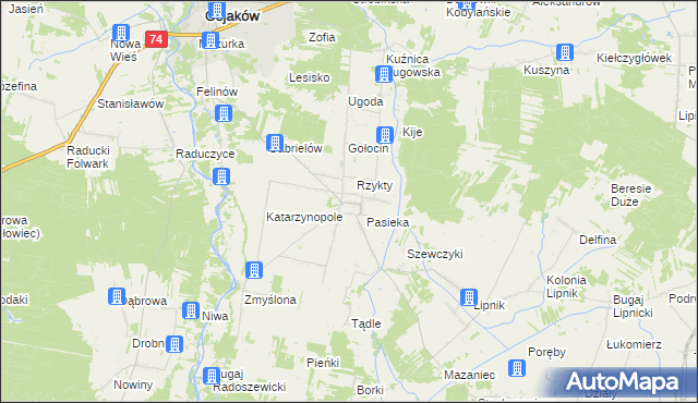 mapa Radoszewice gmina Siemkowice, Radoszewice gmina Siemkowice na mapie Targeo